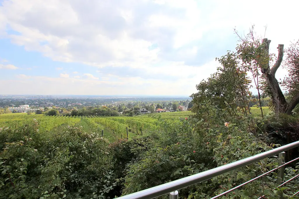 Eigengrund: Grünland mit Gartenhaus - Großes Grundstück in Mauer am Kadoltsberg - direkt am Lainzer Tiergarten