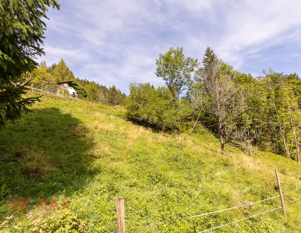 Ankommen und Ausspannen auf 950 m² Naturglück