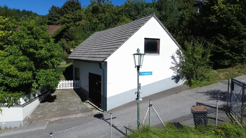 Großzügiges Wohnhaus mit großem Wirtschaftsgebäude und Schlossblick