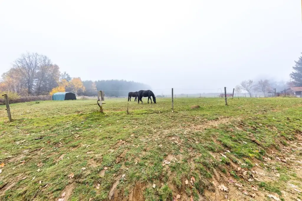 Pferde, Golf und Thermenwellness - Im sonnigen Südburgenland