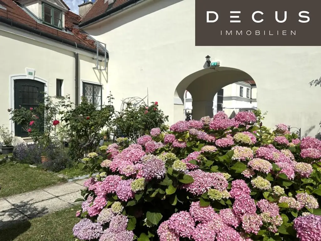 + + + verbindbare Erdgeschossflächen ca. 210 m² + + + SCHLOSS HETZENDORF + + +