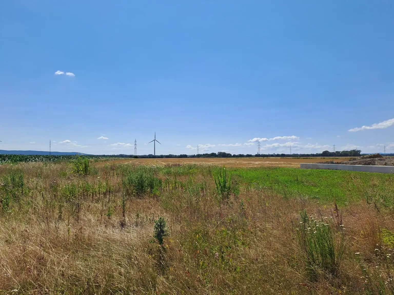 Baugrundstück am Feldesrand