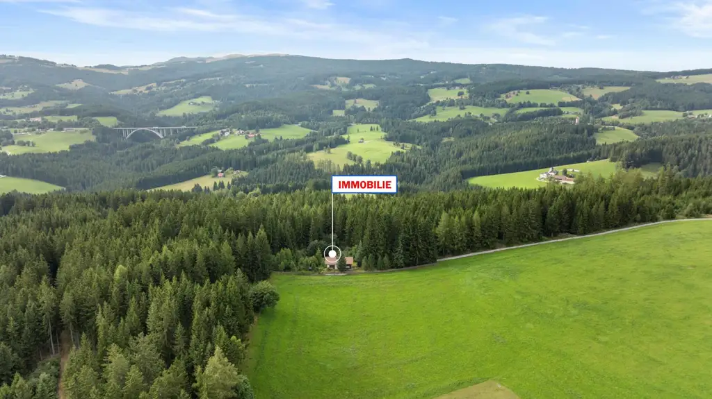 Alleinlage trifft Lebensqualität: Gemütliches Haus mit großem Grundstück inmitten der Natur