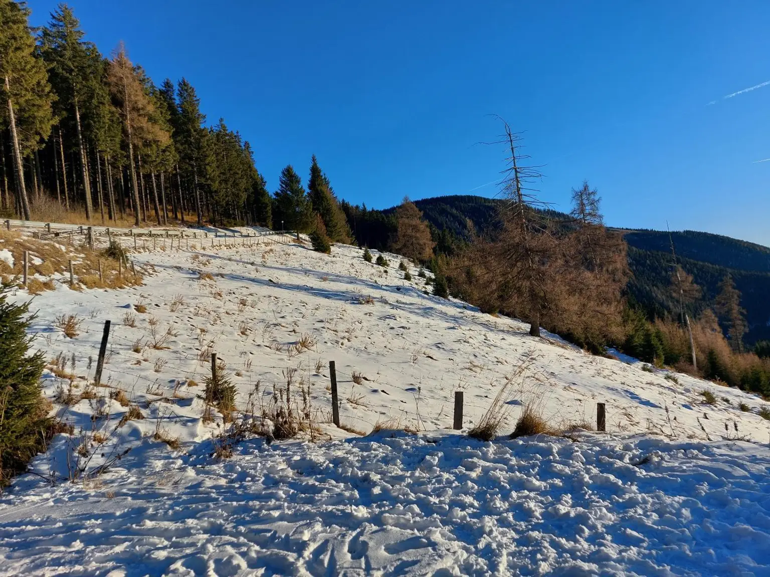 Bauland in sonniger Aussichtslage auf 1