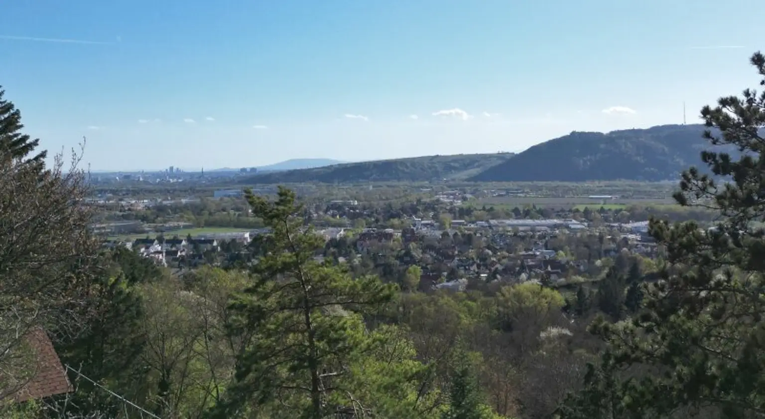 Fernblick