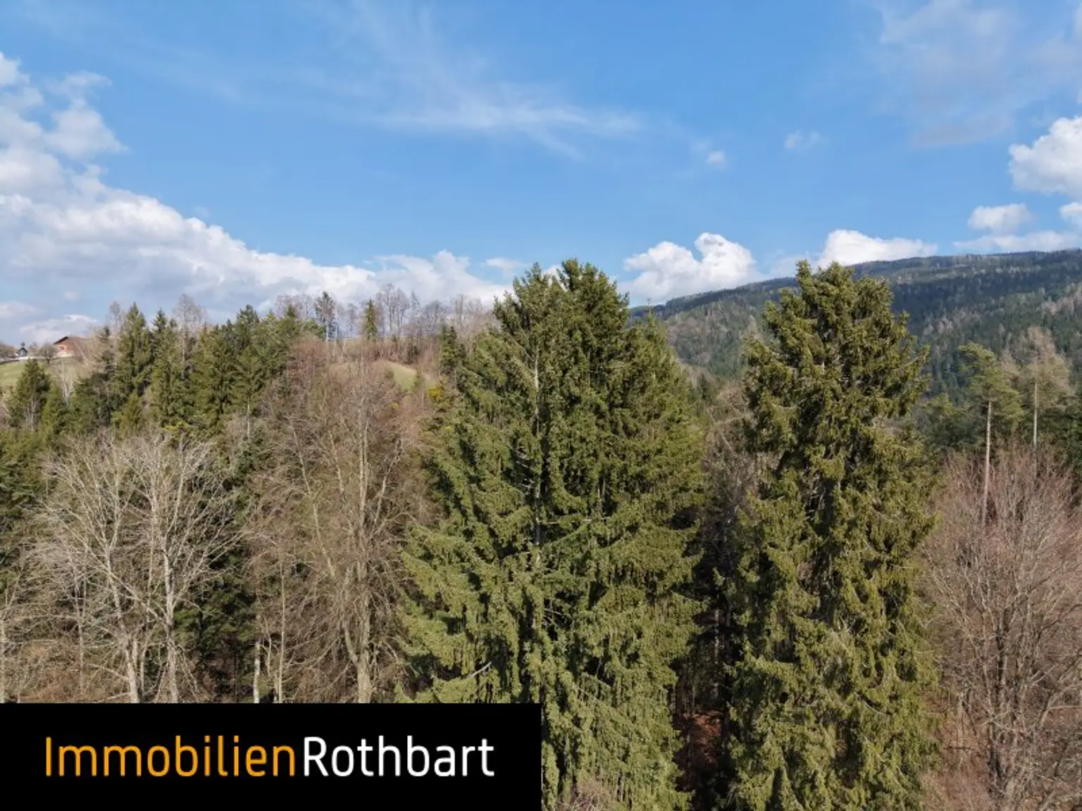 Wald mit Wiese und Zinshaus!