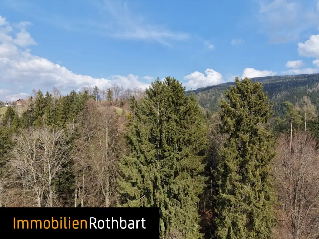 Wald mit Wiese und Zinshaus!