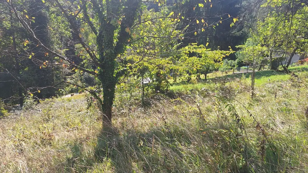 Traumhaftes Baugrundstück in Kranachberg bei Gamlitz – Ihr Platz an der Sonne