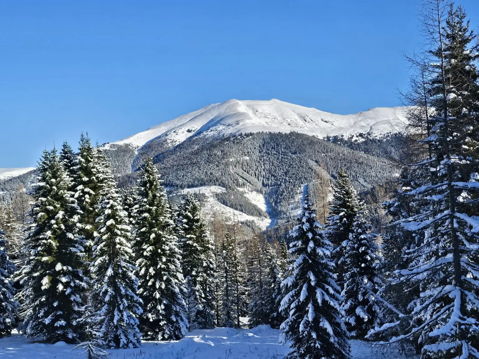 Blick auf die Nockberge
