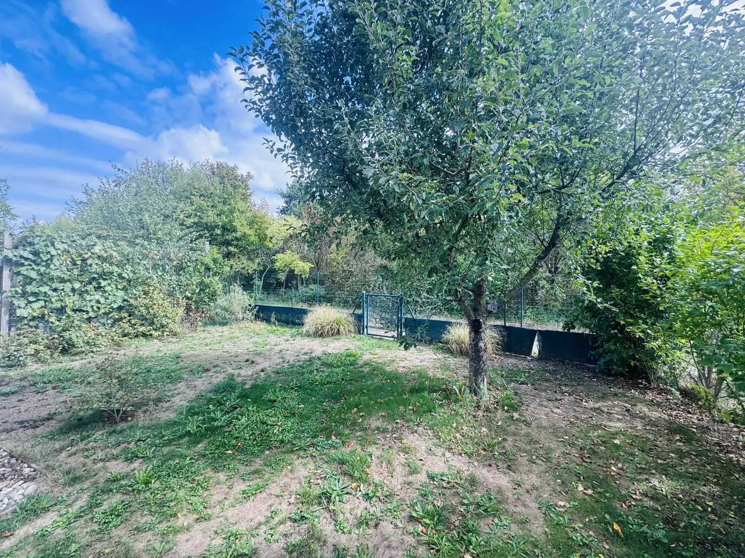 Modernes Einfamilienhaus mit 134 m² Wohnfläche in Ruhelage am Marchfeldkanal