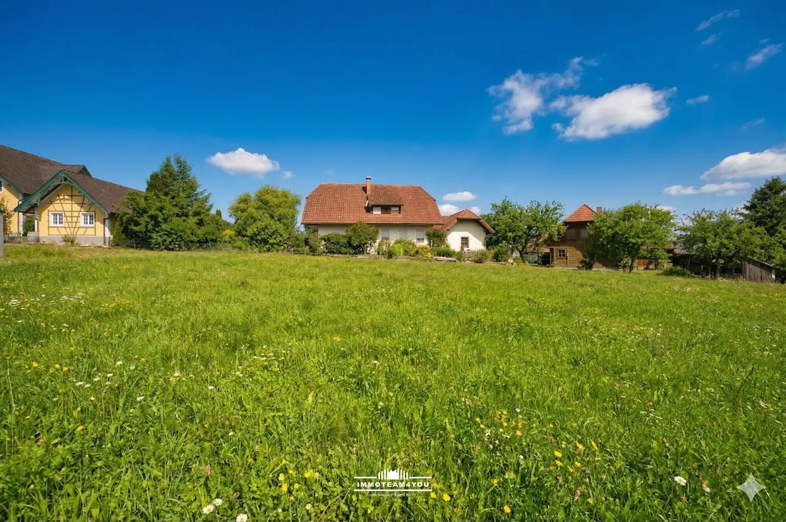 Grundstück im Sommer 03