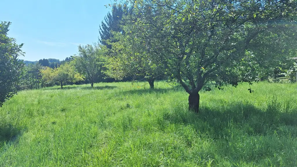 "Investieren Sie in Lebensqualität – 1.500 m² im Rasental!"
