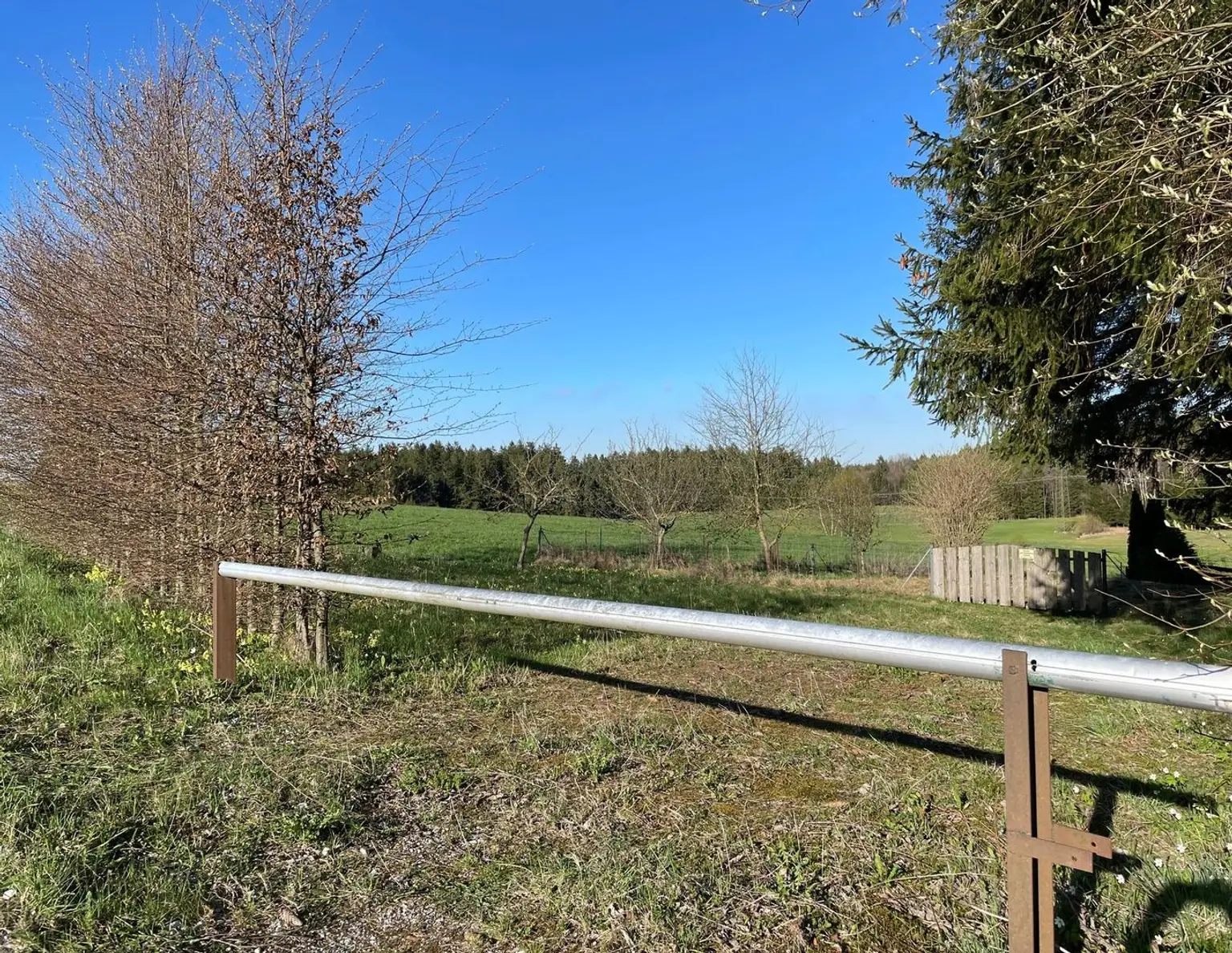 Landschaftsteich mit kleinem Waldanteil (Provisionsfrei)
