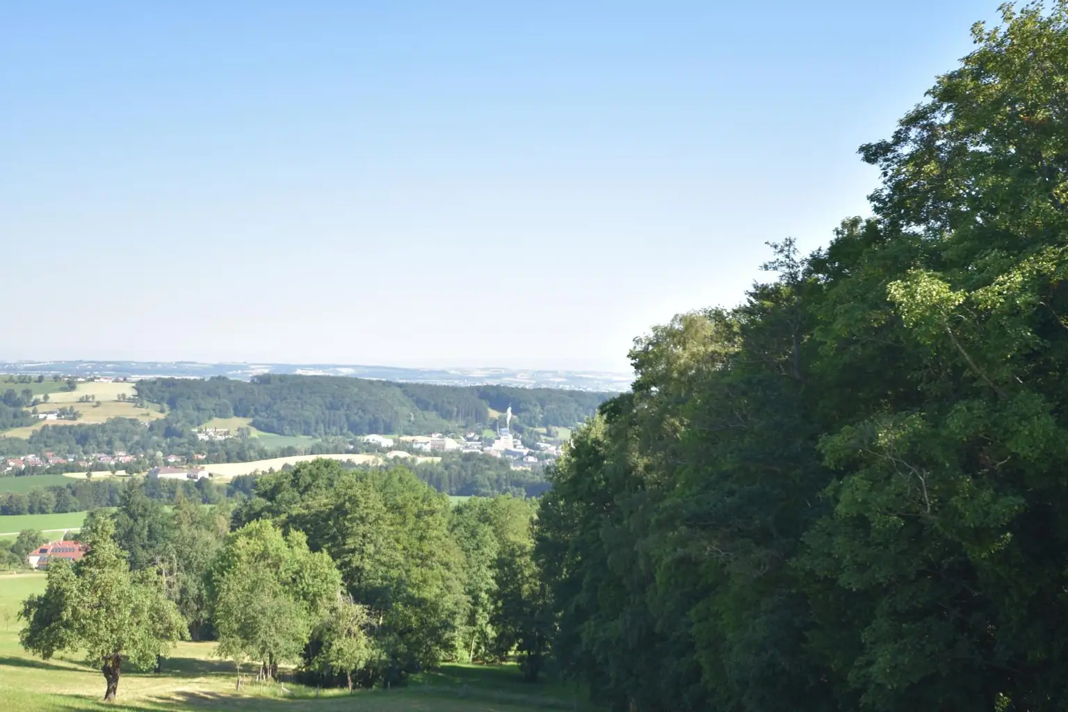 Ausblick Zimmer EG