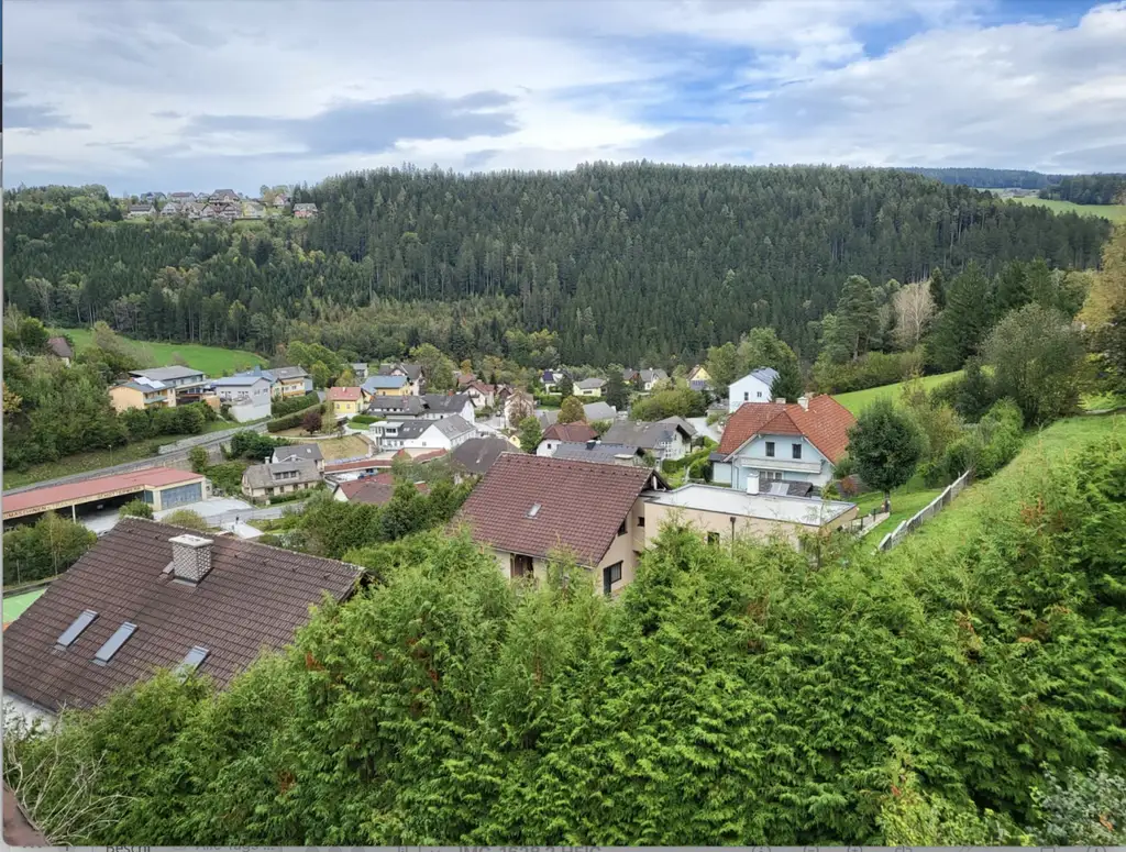 Schönes Einfamilienhaus in Birkfeld zu verkaufen