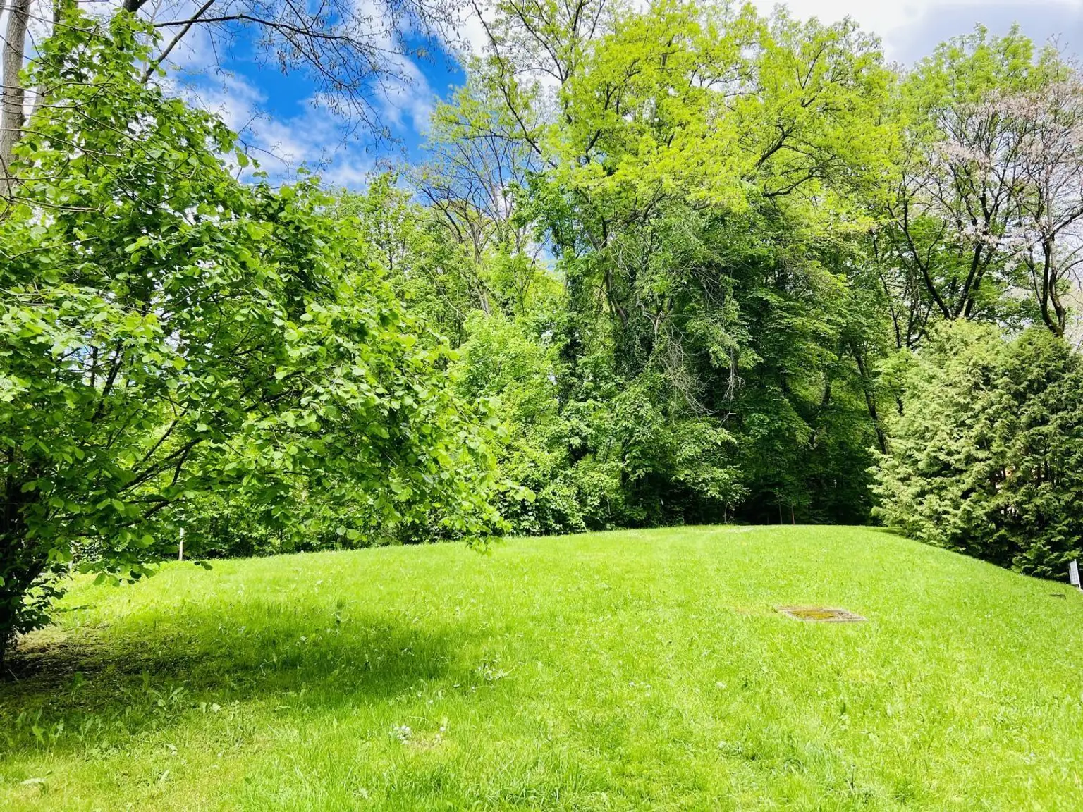 Allgemeingarten
