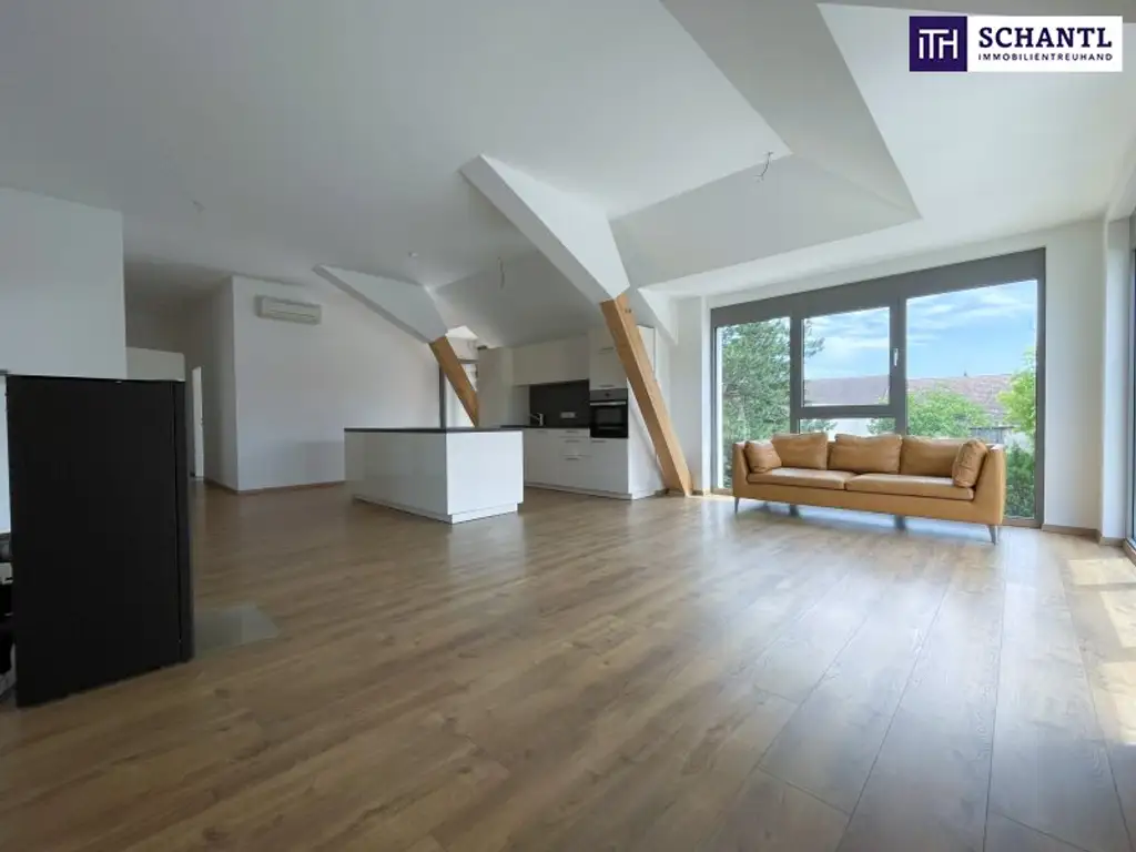 Großzügig. Hell. Ungestört. Penthouse-Feeling mit riesigen Fensterfronten und 40 m² großer Terrasse im Zentrum von Unterwaltersdorf!
