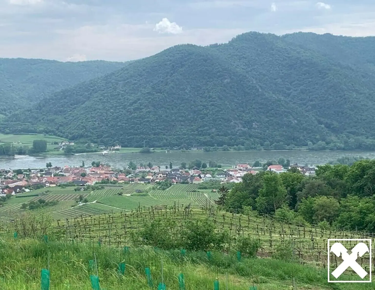 WEINGARTEN IN AUSSICHTSLAGE - WEINGARTEN, LANDWIRTSCHAFTLICHE FLÄCHEN - KEIN BAUGRUNDSTÜCK!