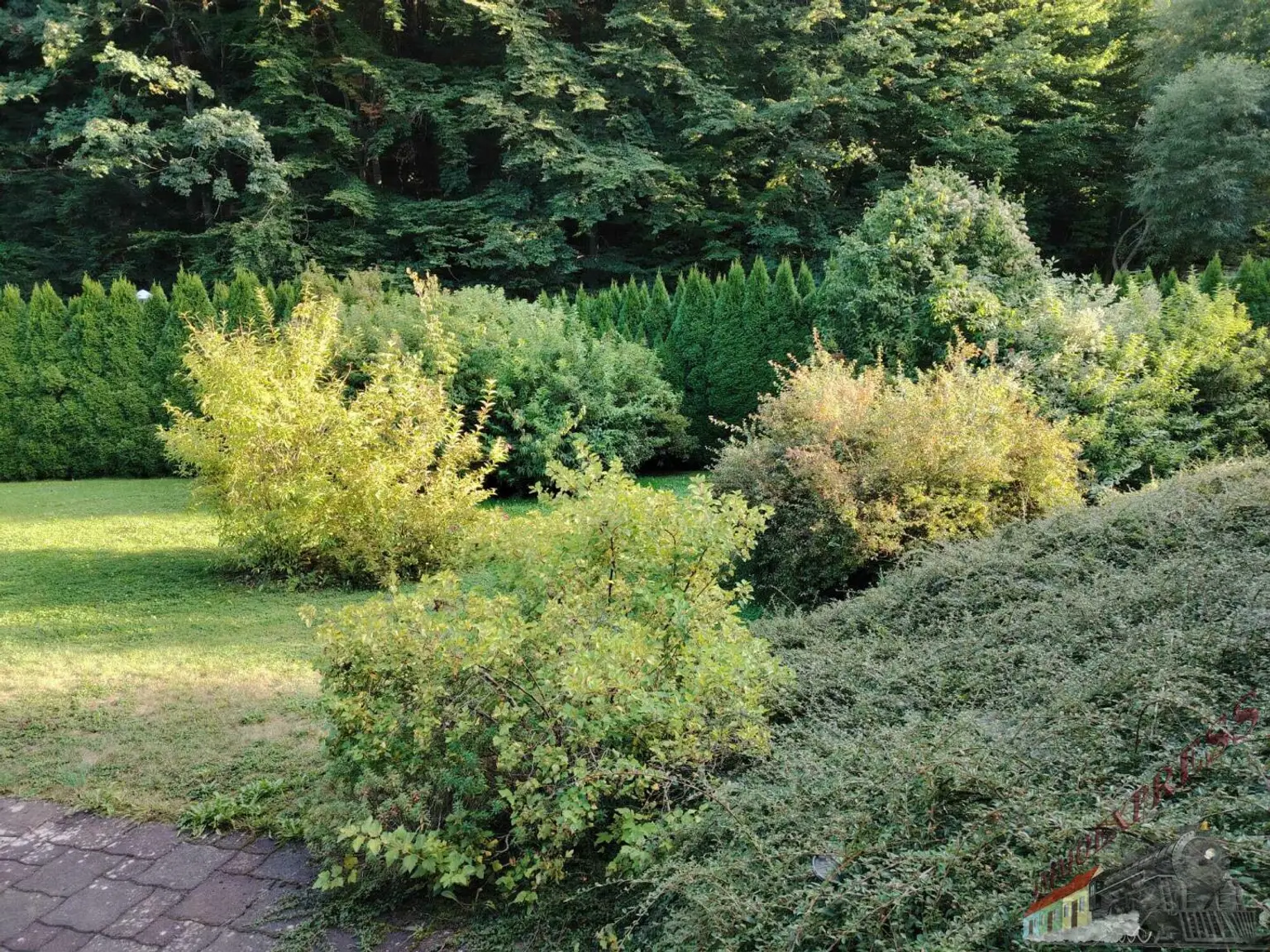 Tolle Villa mit neuer PV-Anlage bietet viel Platz und ruhige, grüne Umgebung – 38 min zur Stadtgrenze Wien!