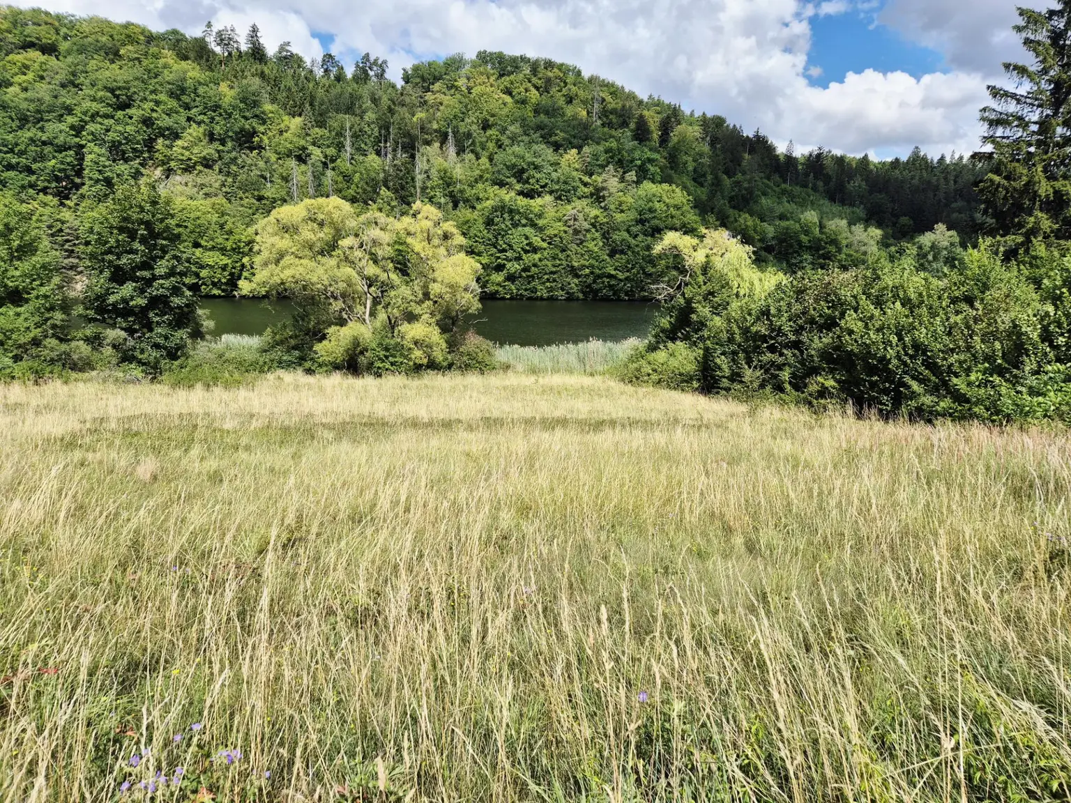 Ansicht II