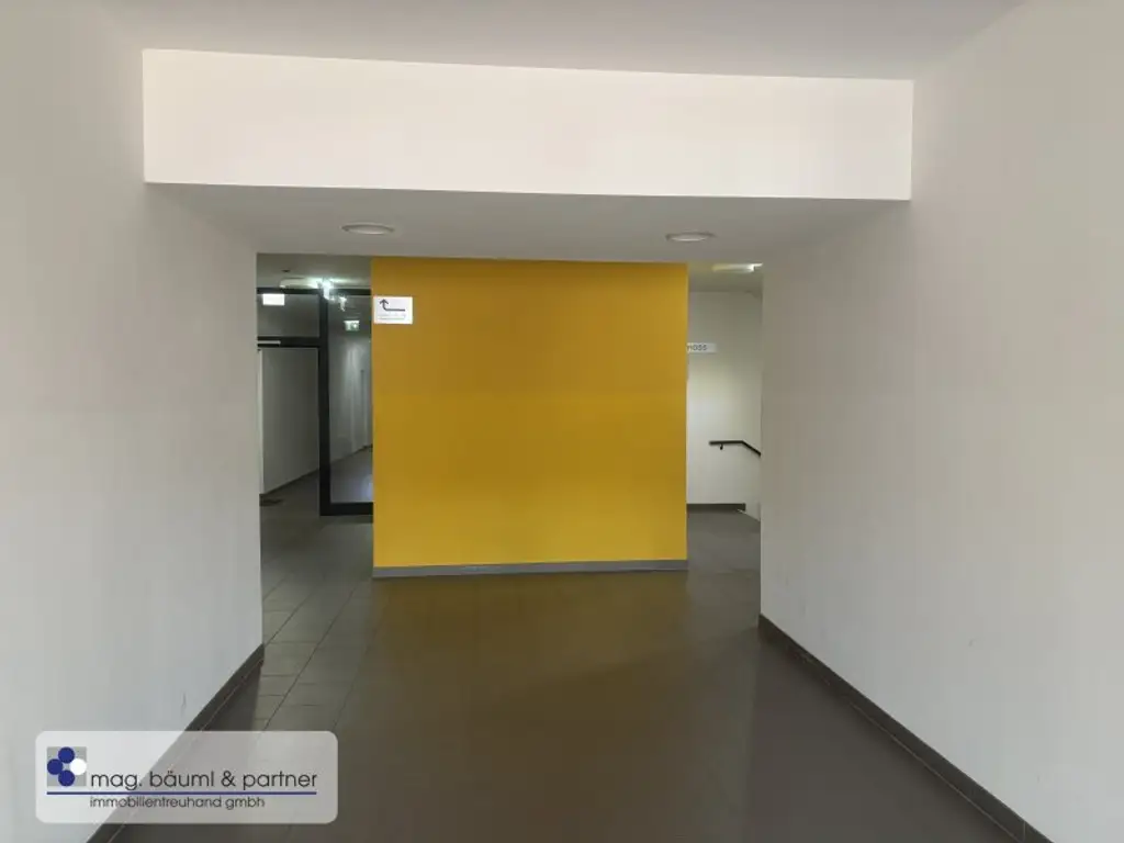 Elegante, neue 4 Zimmerwohnung mit grossartigem Balkon und Grünblick