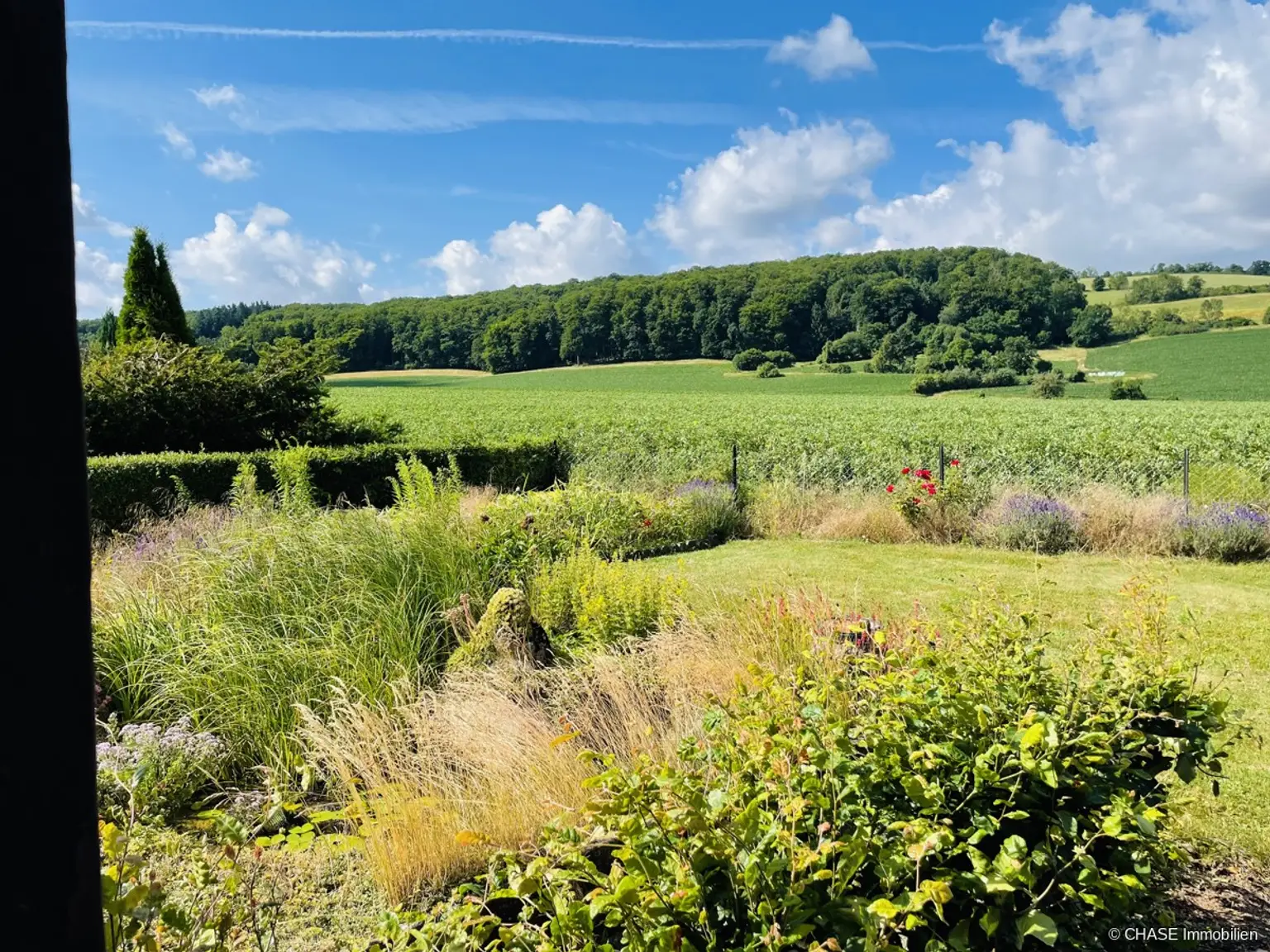 Ausblick Garten