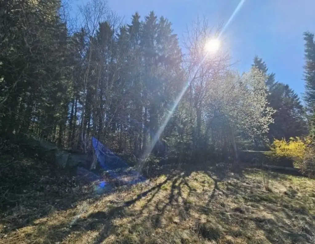 Baugrundstück für Doppelhaushälfte