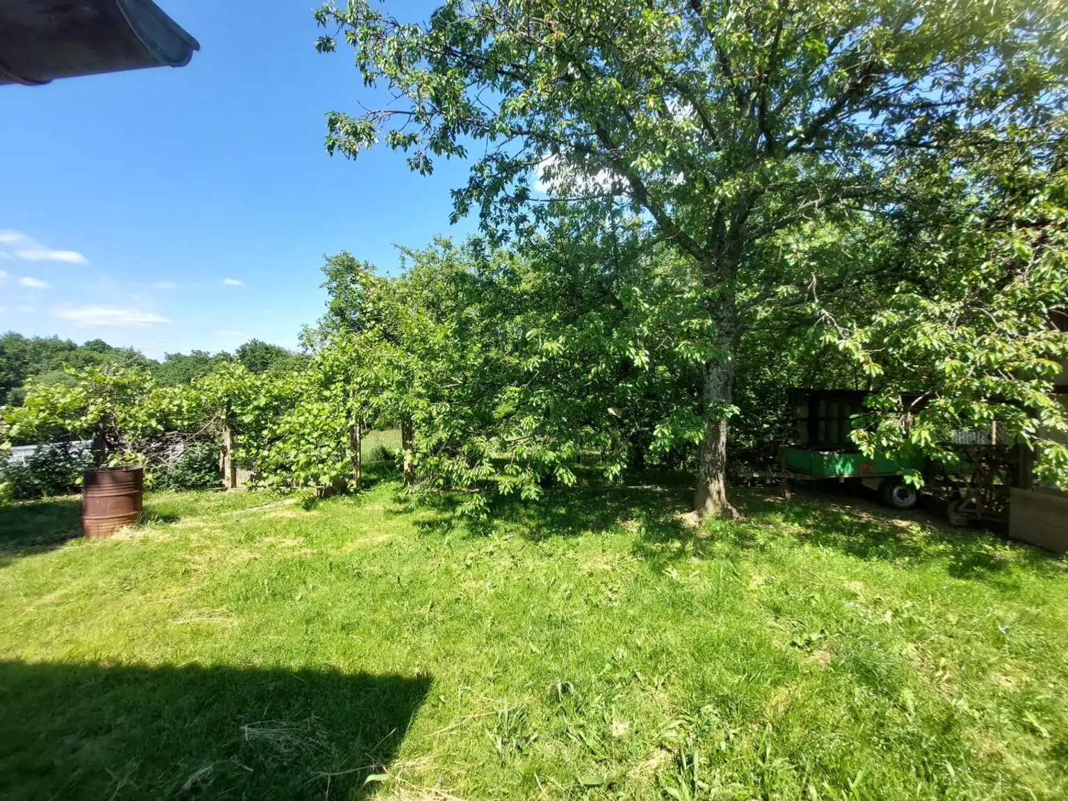 Garten