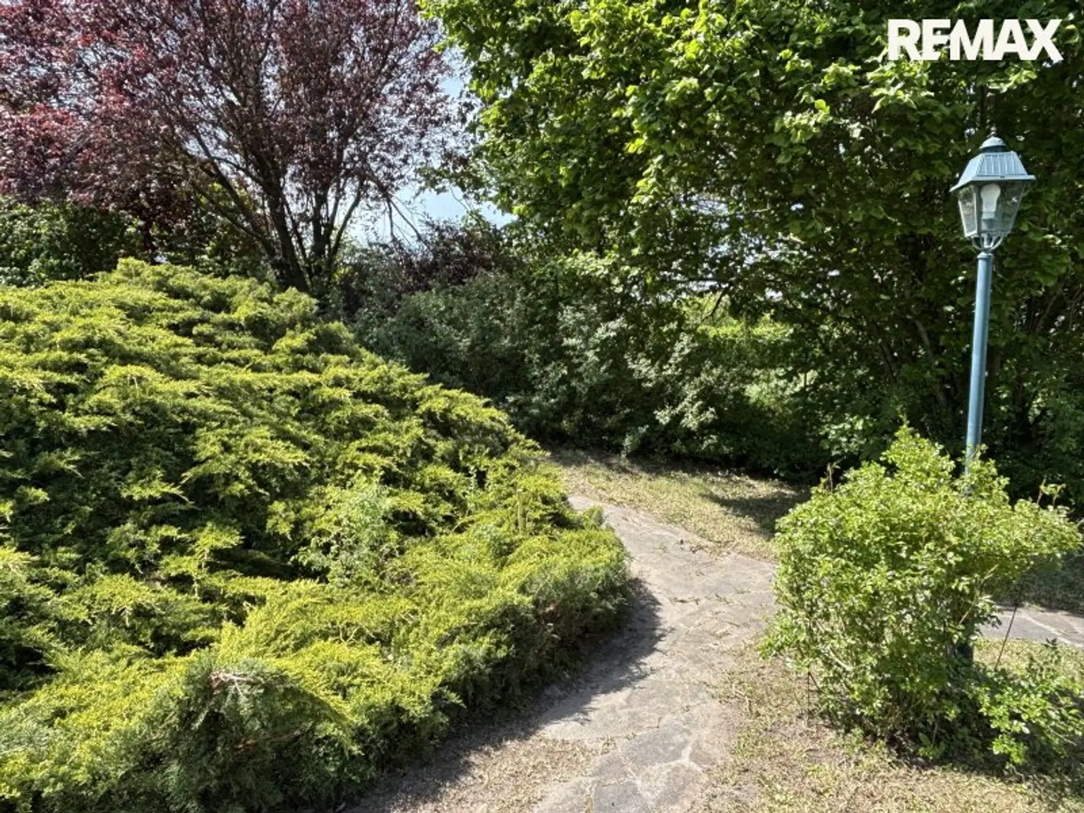 Charmanter Bungalow mit 3 Zimmern im idyllischen Illmitz auf 992 m² Eigengrund!