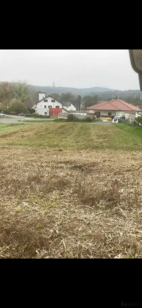 20260315_183152000_iOS