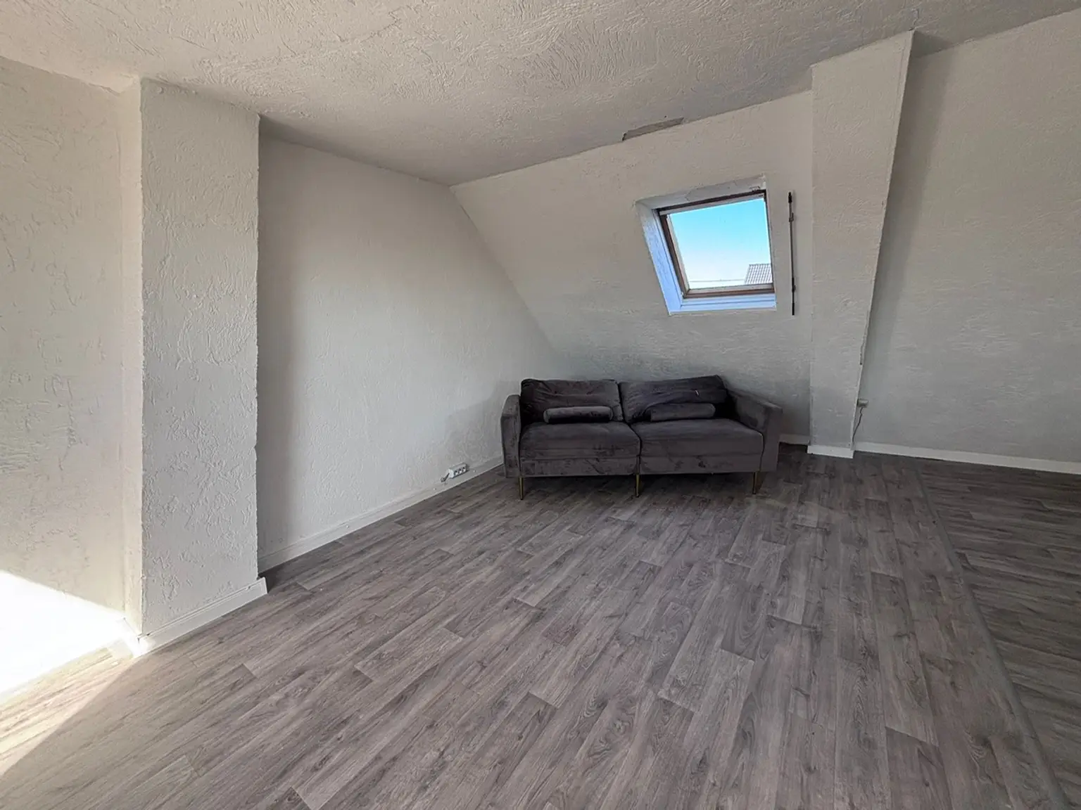 Zimmer DG