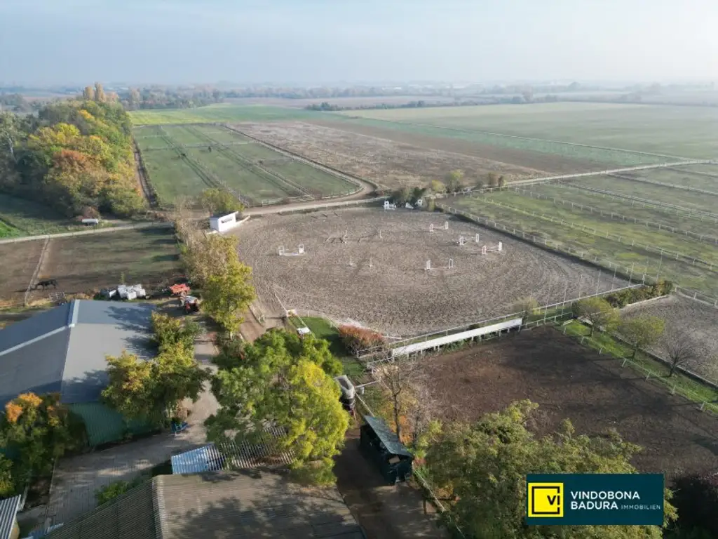 Exklusive Reitsportanlage vor den Toren Wiens – 145 Boxen | Reithallen | Reitplätze | Koppeln | Villa & Personalwohnungen