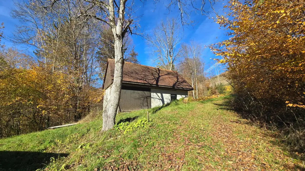 Weingarten mit Landwirtschaft und Altbestand in Kranach, Gemeinde Gamlitz