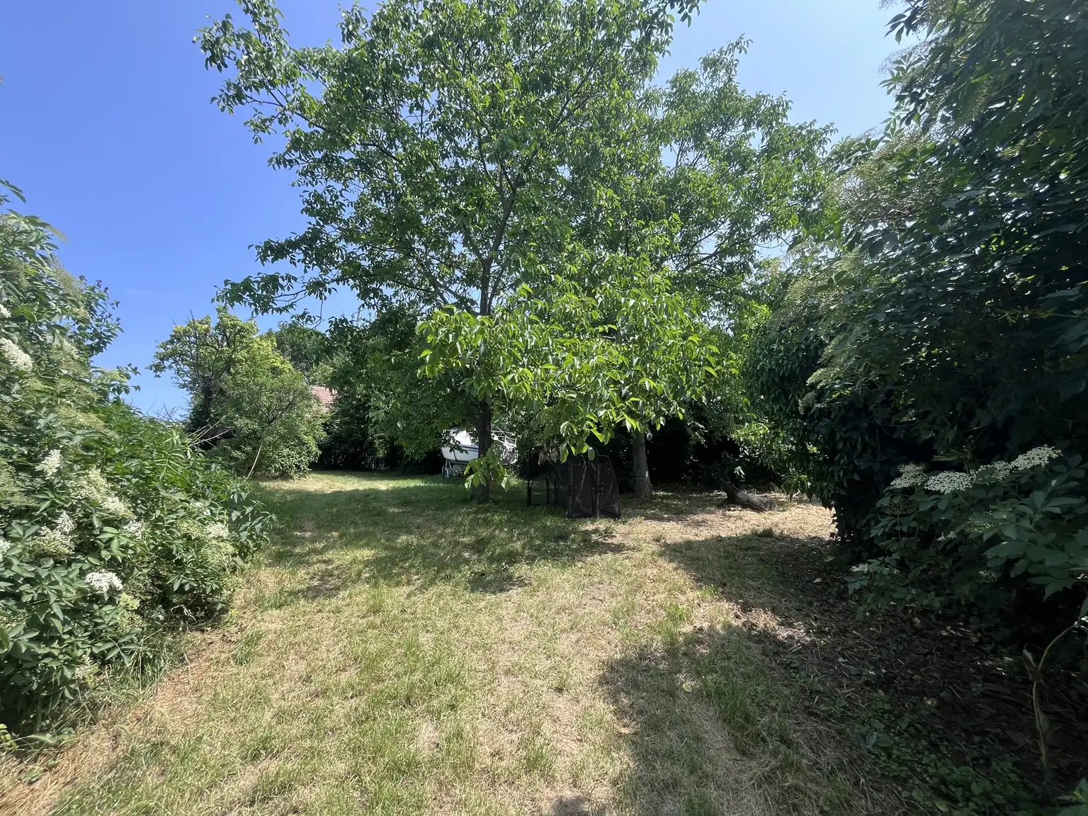 Grundstück mit Altbestand