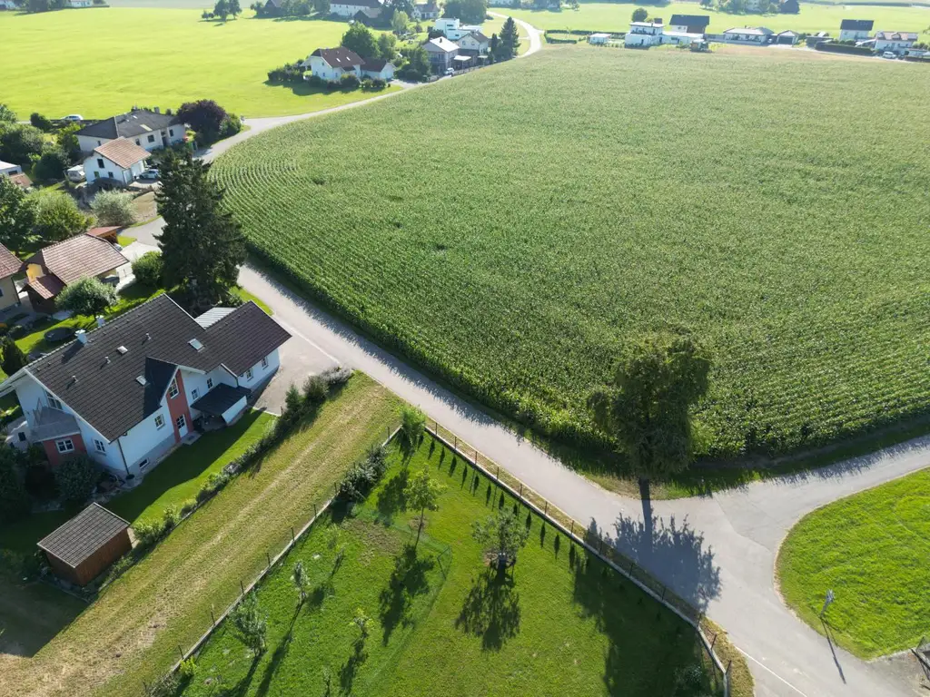 Neu vermessene Grundstücke in Breitenried