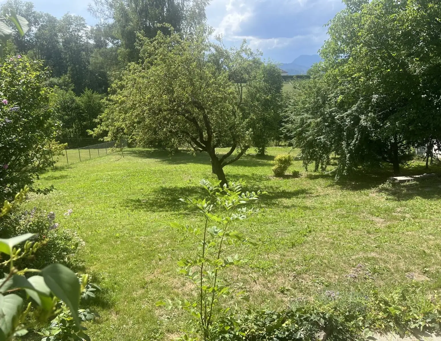 großes Grundstück in Hörzendorf