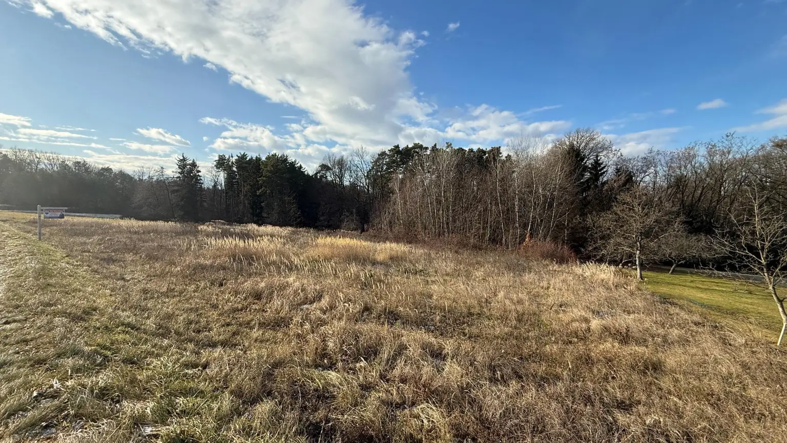 Sicht in den Süden