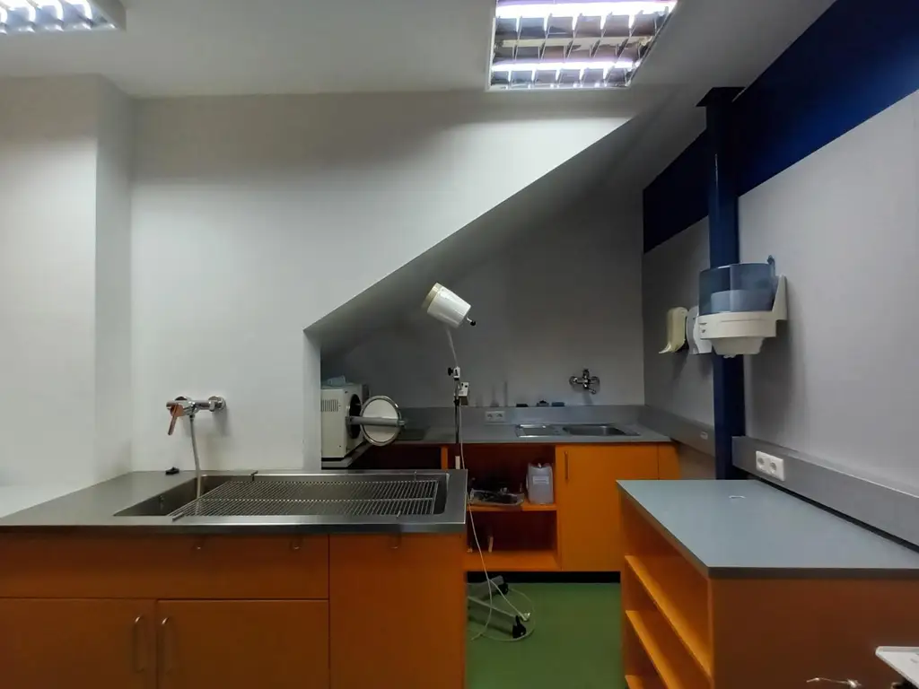 89,5 m² Tierarztpraxis, Ordination in Mürzhofen – sofort verfügbar