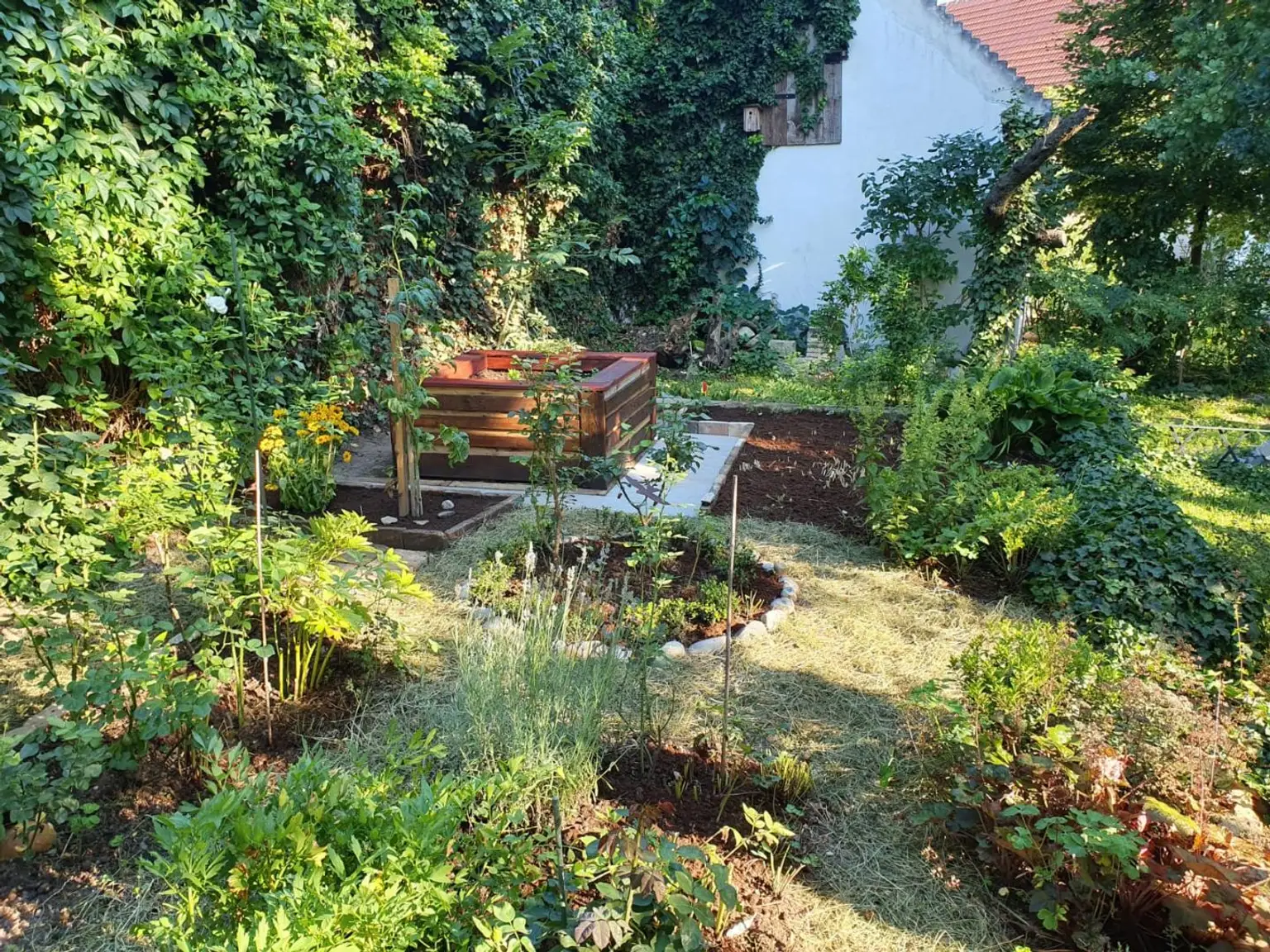 Gemüsegarten_Sommer