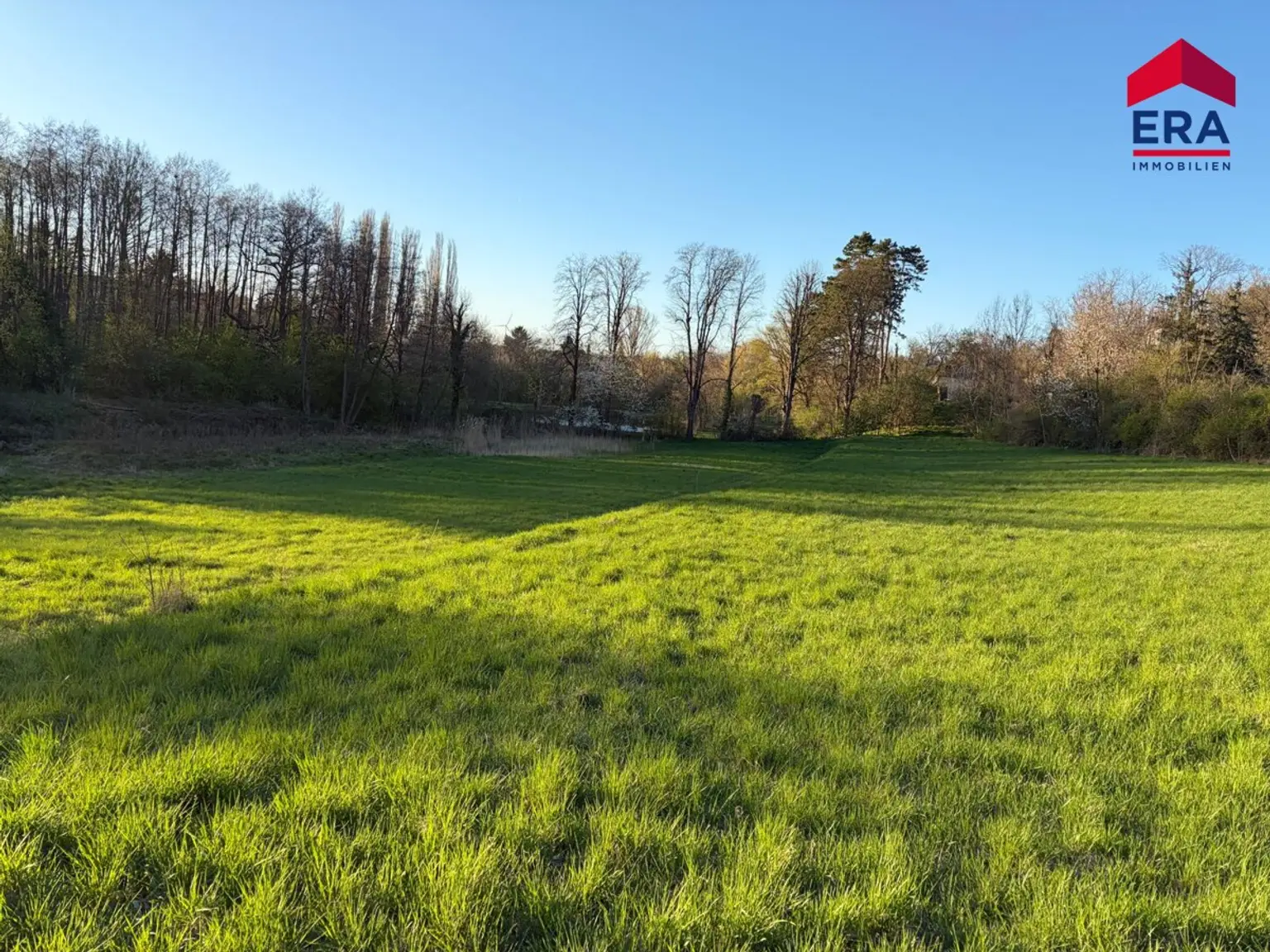 Exklusives Freizeitgrundstück in absoluter Grünruhelage – Natur, Weite & vielfältiges Potenzial in Gaweinstal