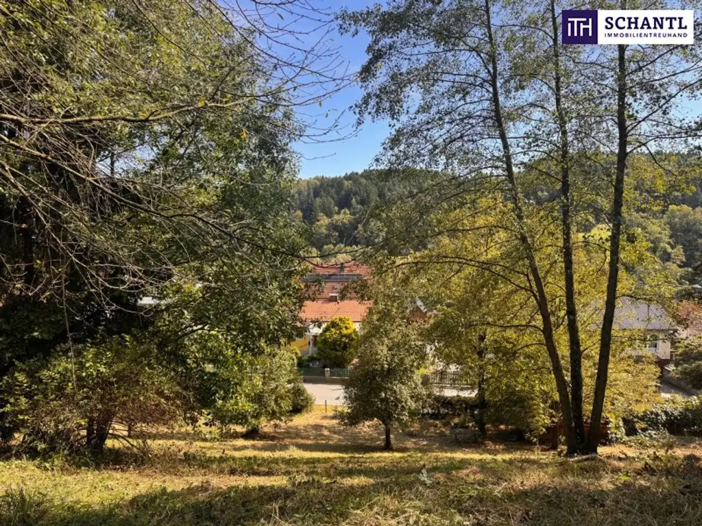 PREISREDUKTION! Attraktiver Baugrund inkl. Bewilligung für Wohnbauprojekt mit 4 Doppelhaushälften! Jetzt Anfragen!