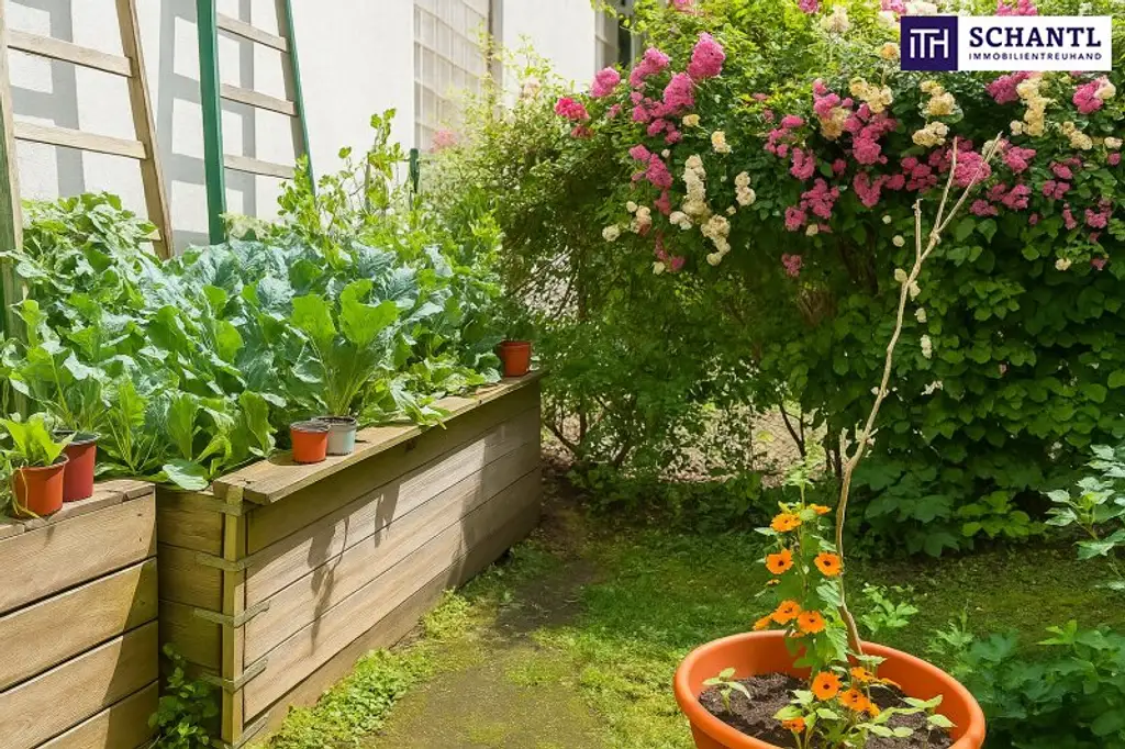 Stark reduziert! Charmante 3-Zimmer-Wohnung mit Urlaubsfeeling – eigener Garten & zwei Balkone in Währinger Toplage