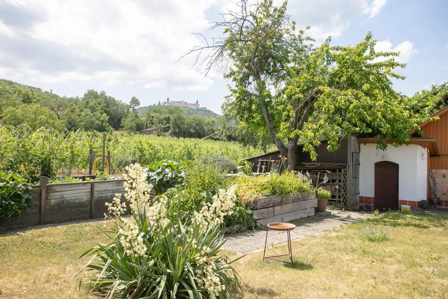 Garten Ansicht 4