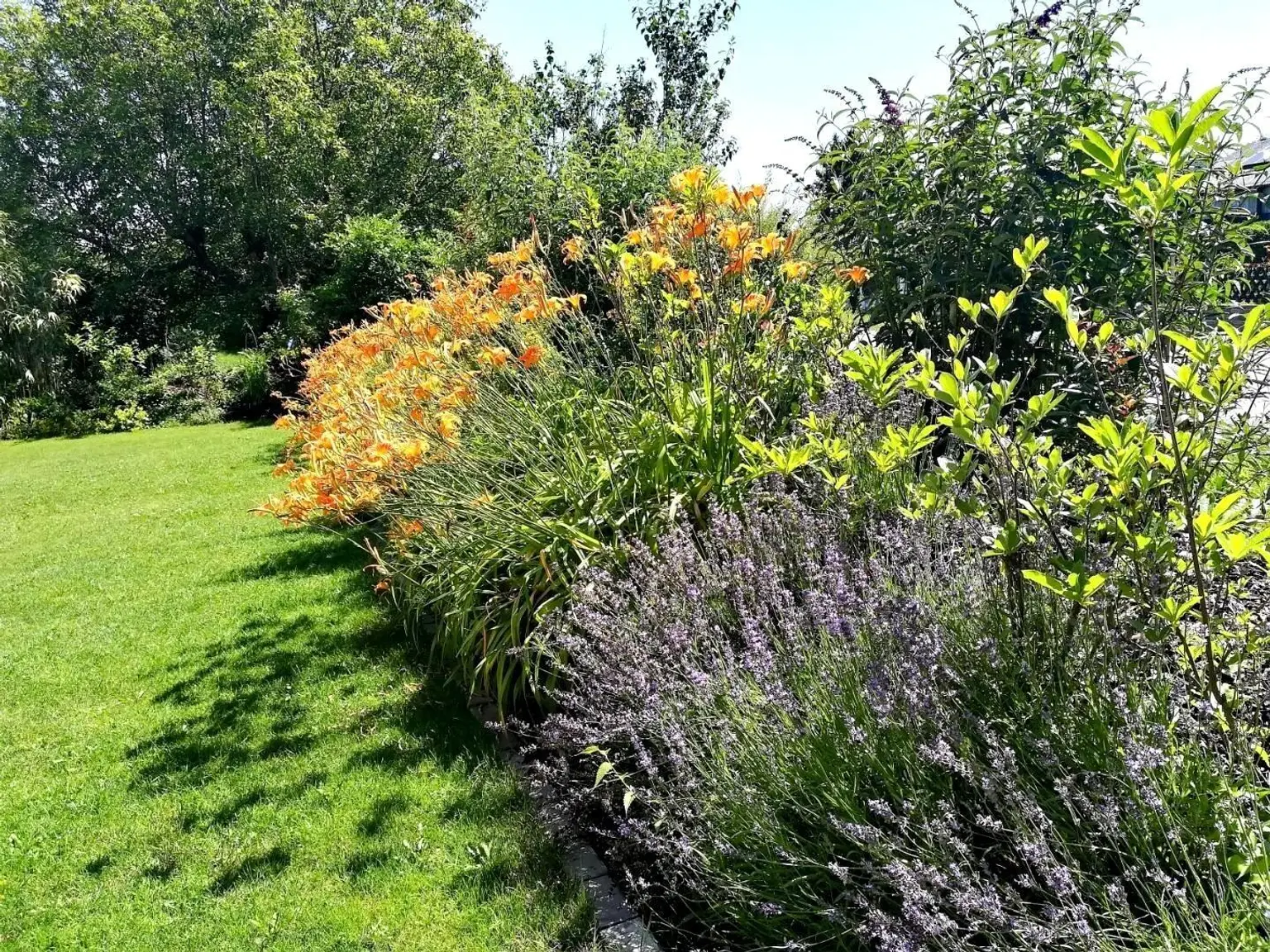 Gartenbereich