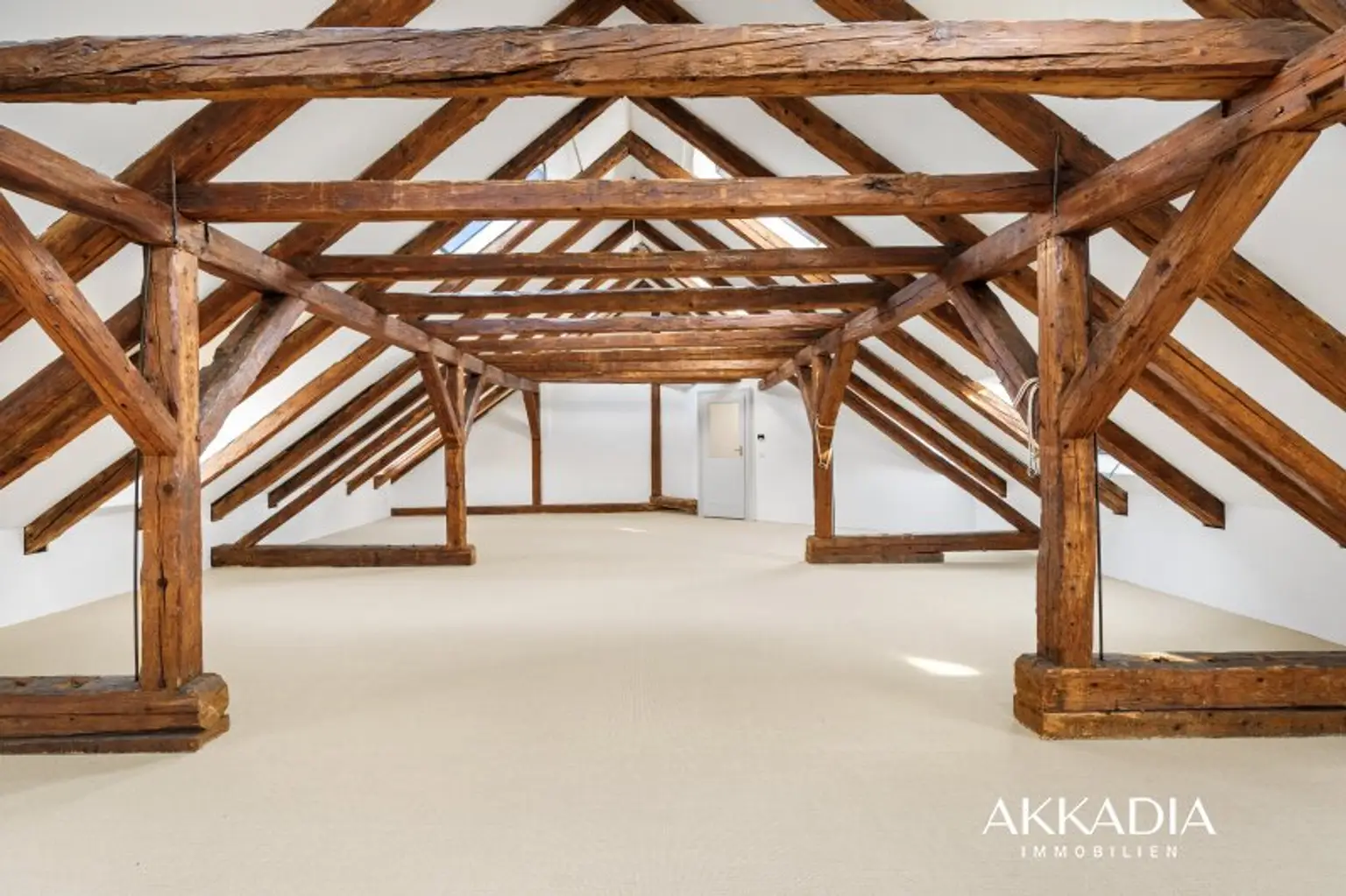 Wo Geschichte lebendig wird - Romantische Villa mit Park
