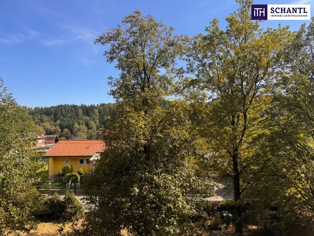 PREISREDUKTION! Attraktiver Baugrund inkl. Bewilligung für Wohnbauprojekt mit 4 Doppelhaushälften! Jetzt Anfragen!