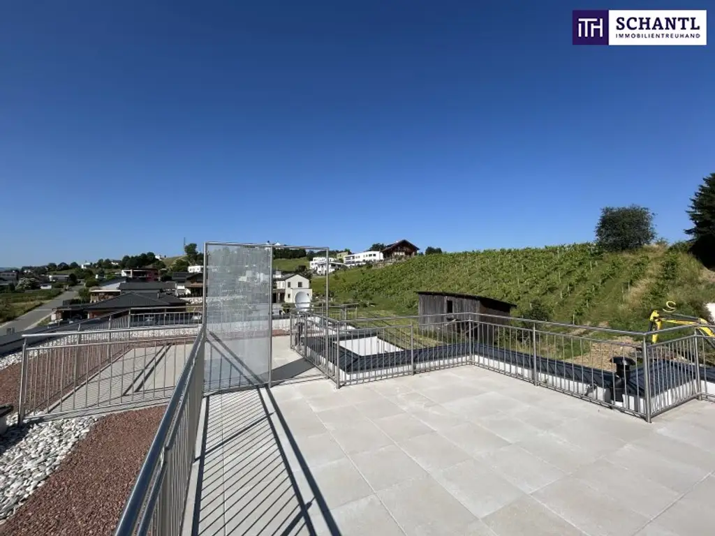 Modernes DOPPELHAUS mitten in den West-Steirischen WEINBERGEN - mit DOPPELGARAGE, GARTEN, TERRASSE & DACHTERRASSE!