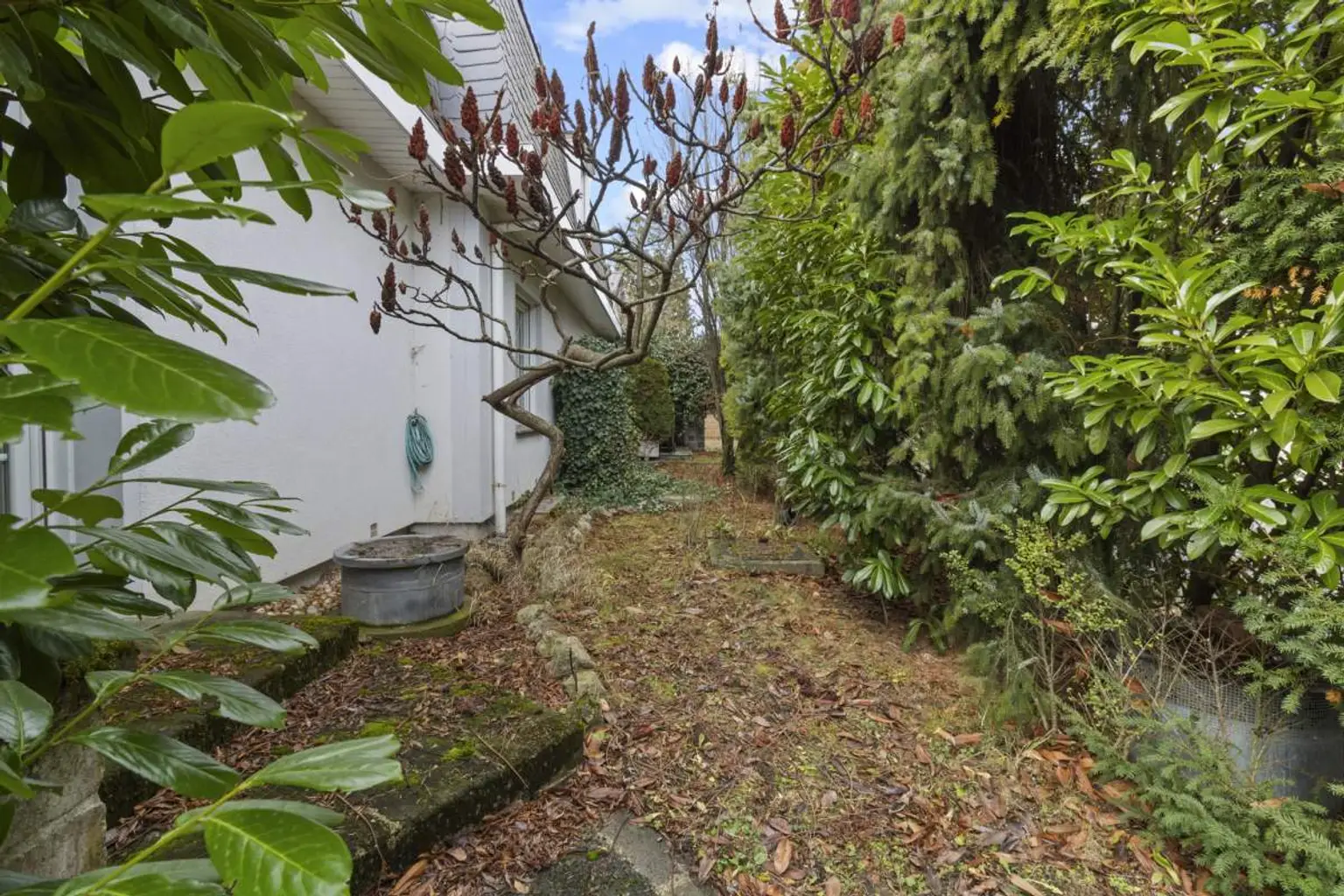 Img_5626 | ++ NEU ++ EXKLUSIVE VILLA in Top Lage - Nähe Lainzer Tor | Prima Service Immobilien