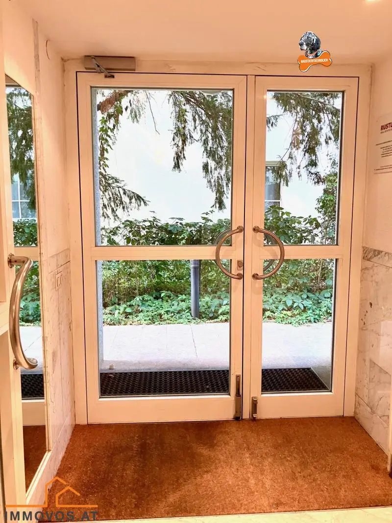 Komplette Grünruhelage im Herzen Hietzings - Erstbezug nach Renovierung 2 Zimmer mit schöner Freifläche!