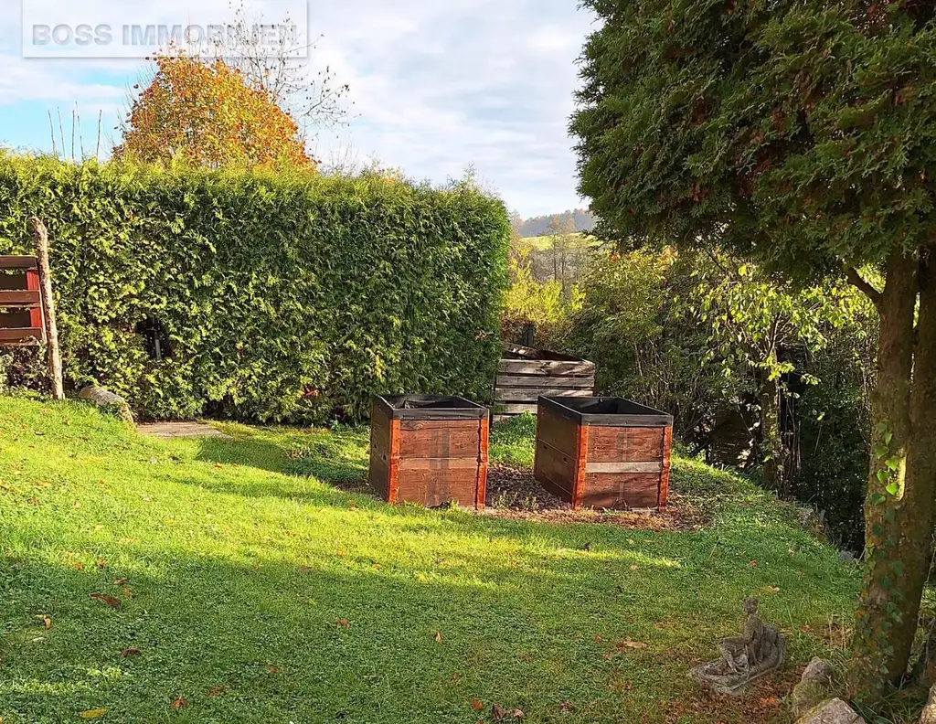Naturnahes Paradies | Schrebergarten mit Gartenhütte